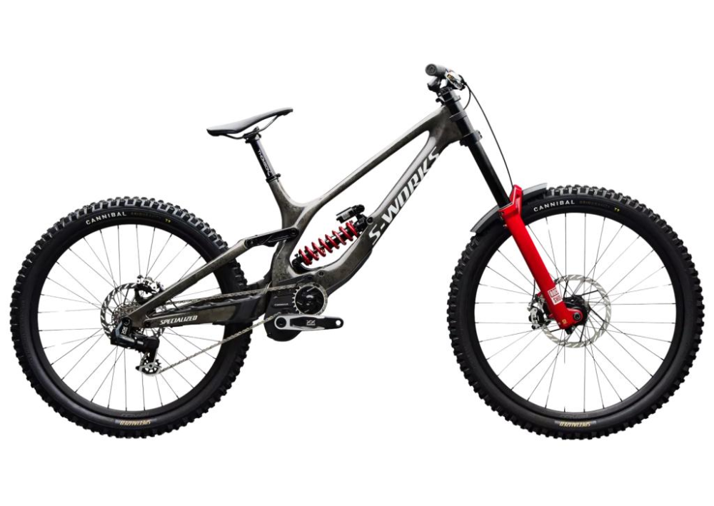 BIKE SPECIALIZED S-WORKS DEMO 11