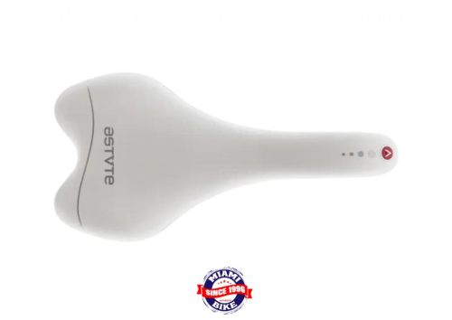SELIM ASTUTE SKYLINE MTB TITAN 