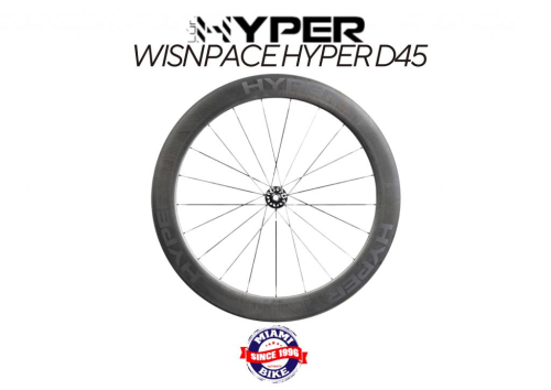 RODA 700C WISNPACE HYPER D45 CARBON DISC TUBLESS