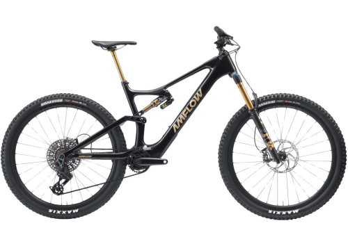 BIKE  AMFLOW PL CARBON PRO