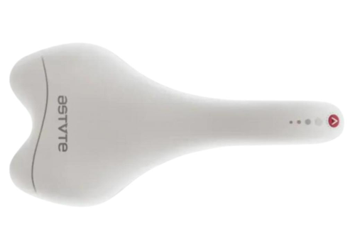 SELIM ASTUTE SKYLINE MTB TITAN 